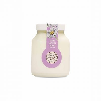 Yogurt naturale intero senza lattosio - Chiuro