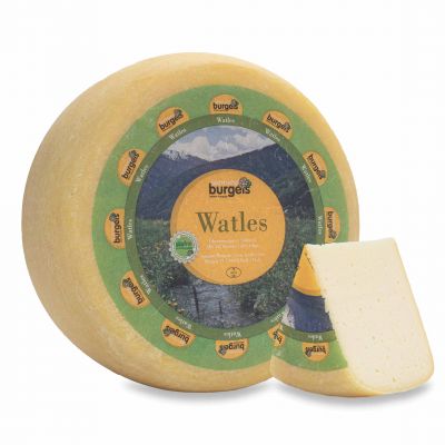 Watles