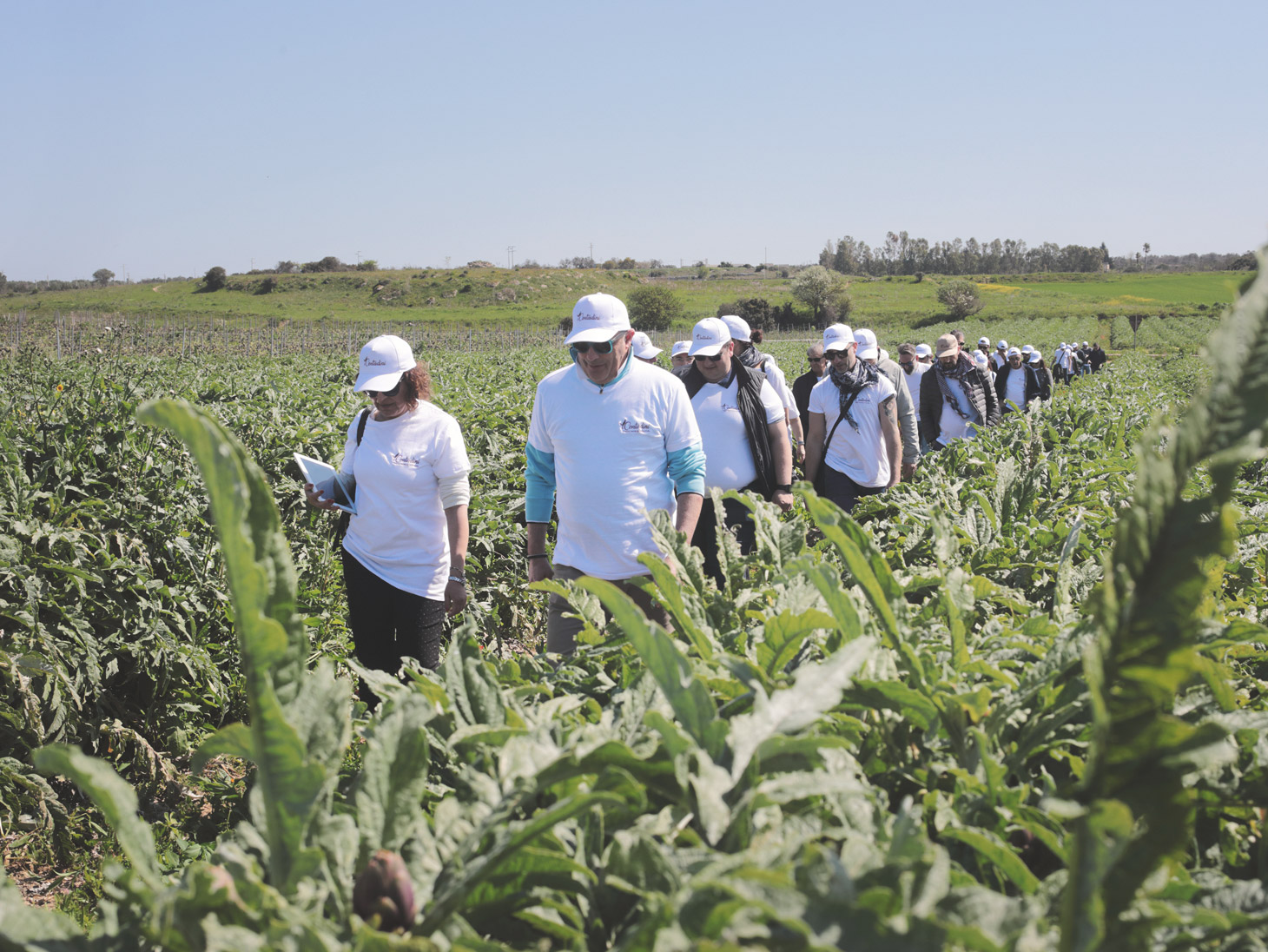 Travelling to Salento to discover the farm “I Contadini”