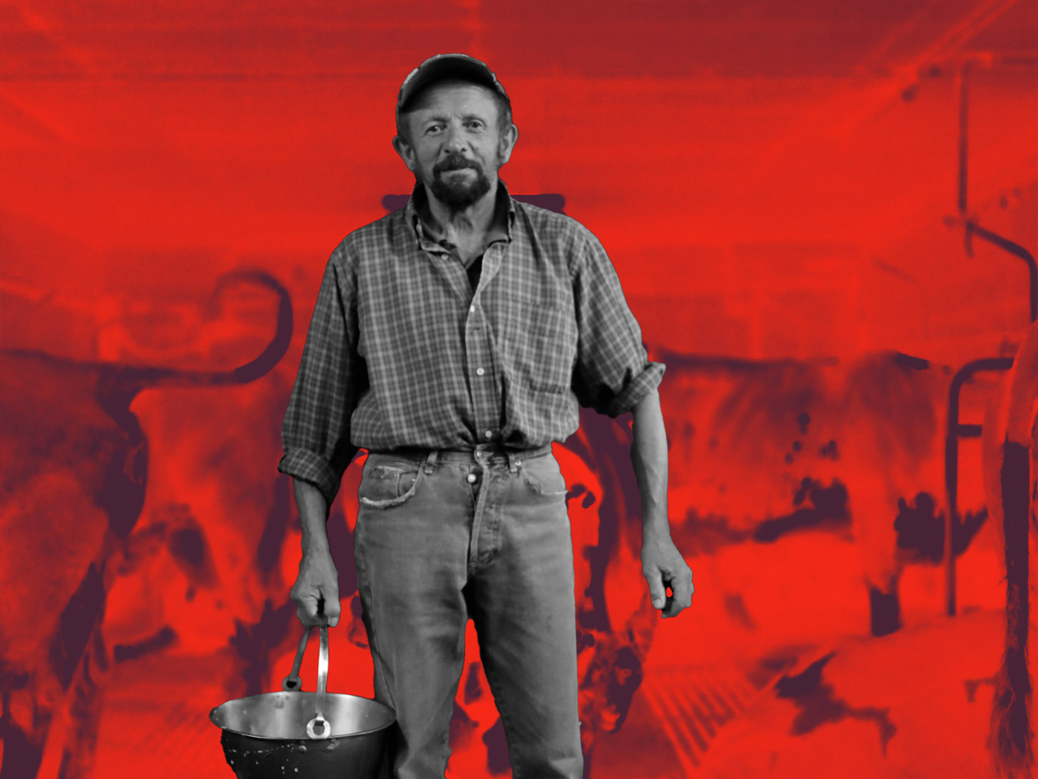 Prati stabili e pascoli