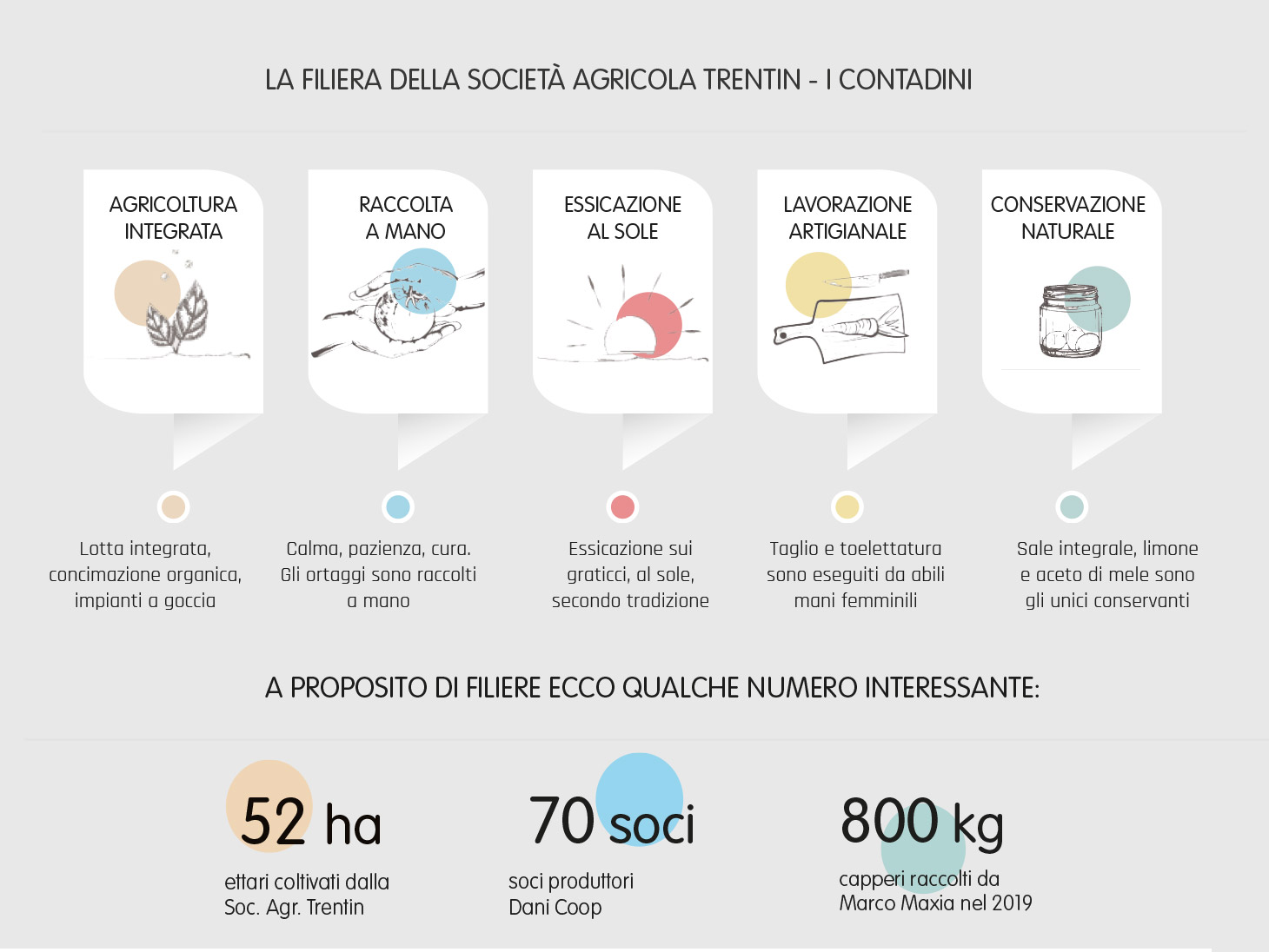 La filiera delle conserve