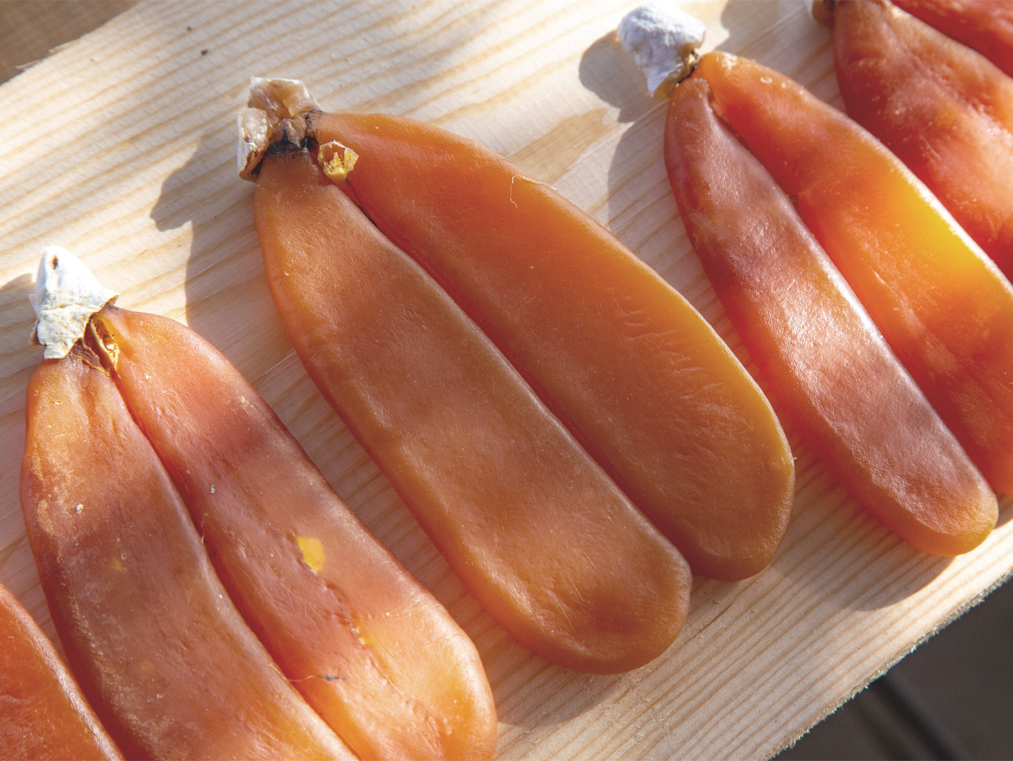 Bottarga