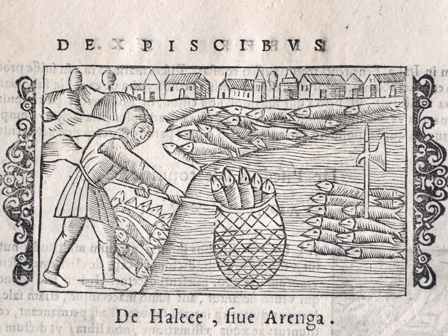 Il Cibo E La Quaresima Nella Storia