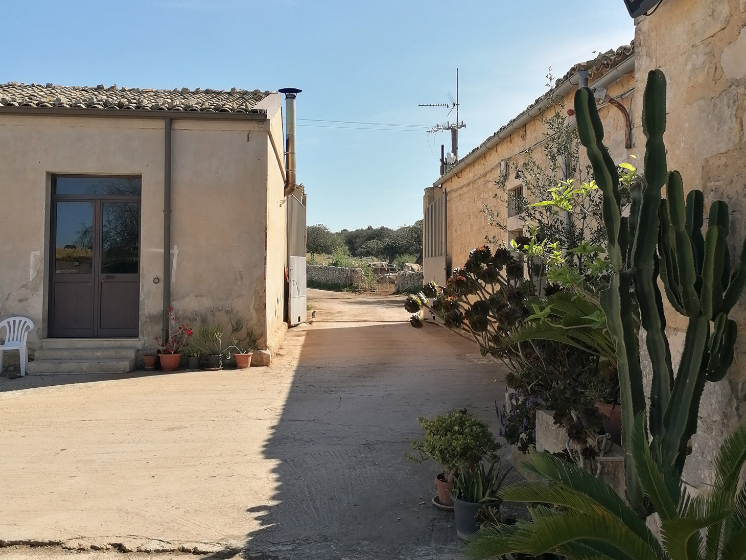 Azienda Agricola Tumino azienda-agricola-Tumino
