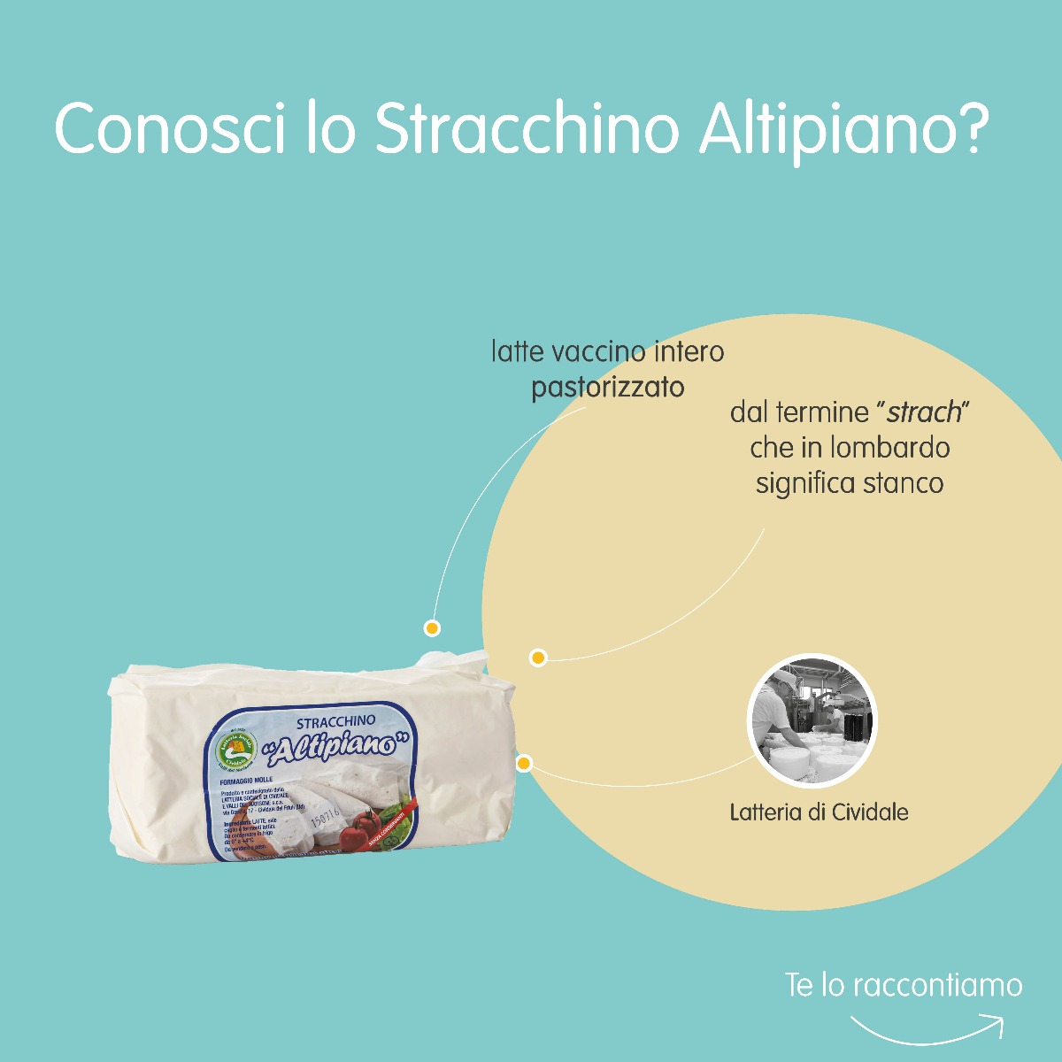 stracchino-altipiano-cividale