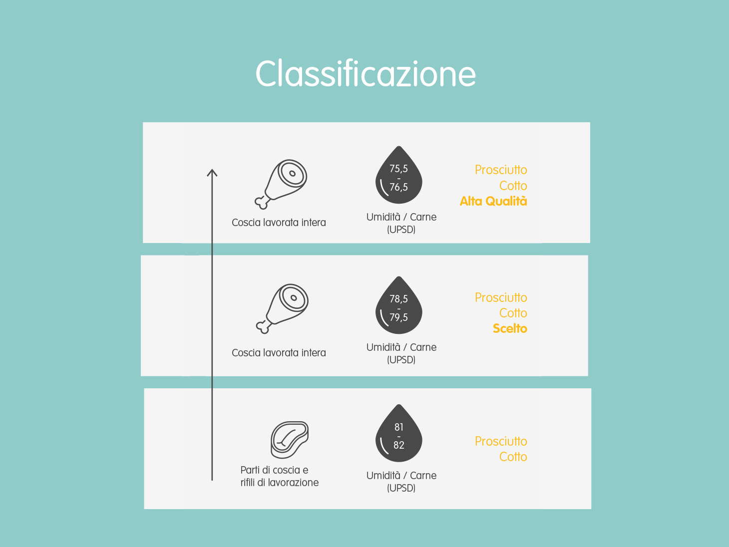 cotto-al-basilico
