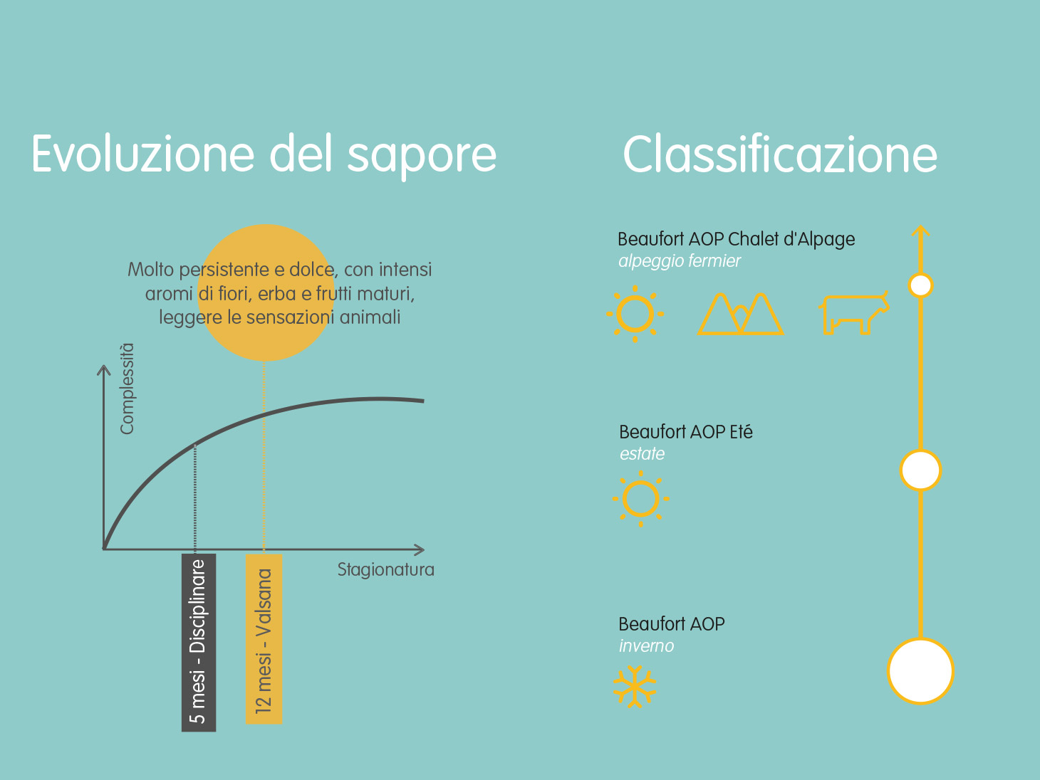 Sapore e Stagionatura Beaufort