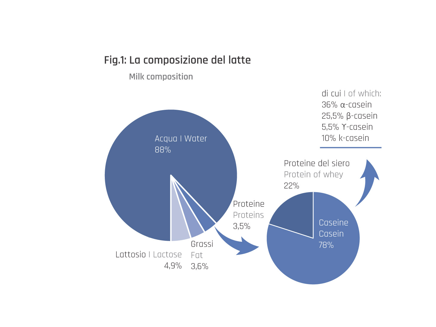 Tabella composizione latte