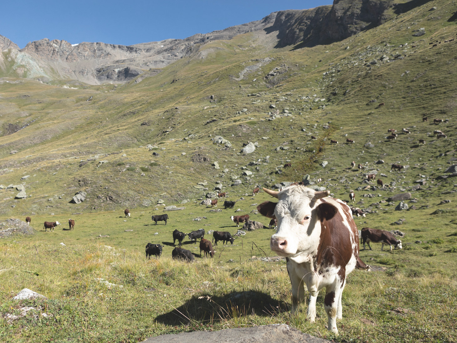 Valle d'Aosta