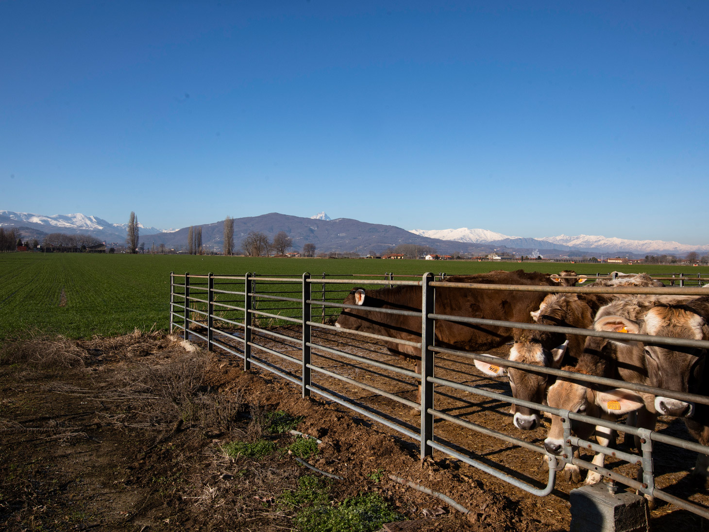 territorio-fattorie-fiandino