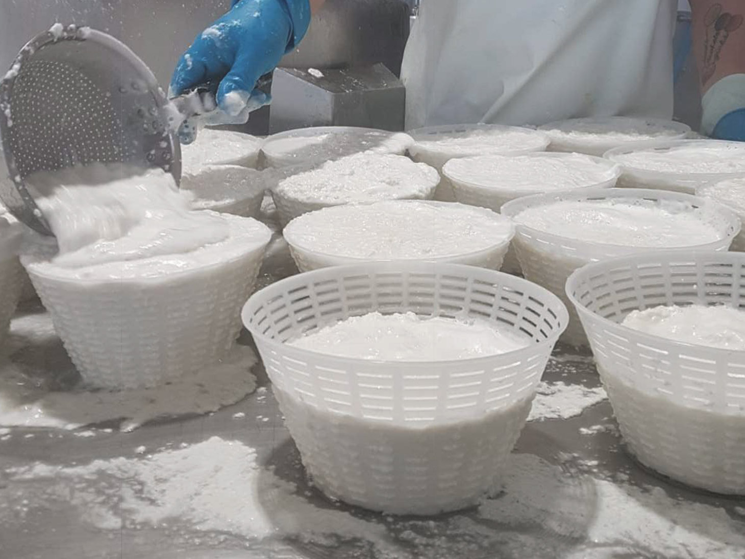 ricotta mambelli