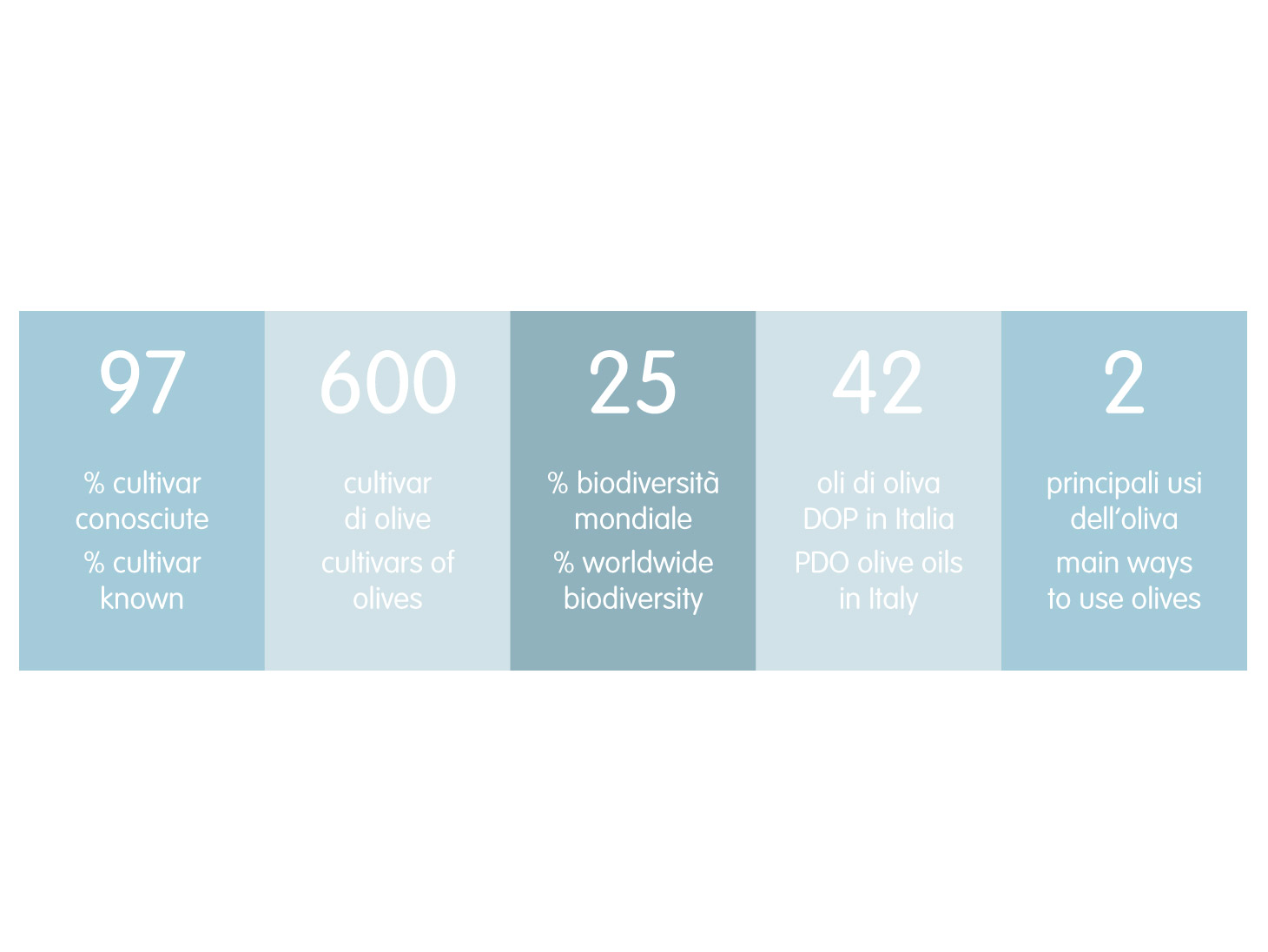 Olives in numbers