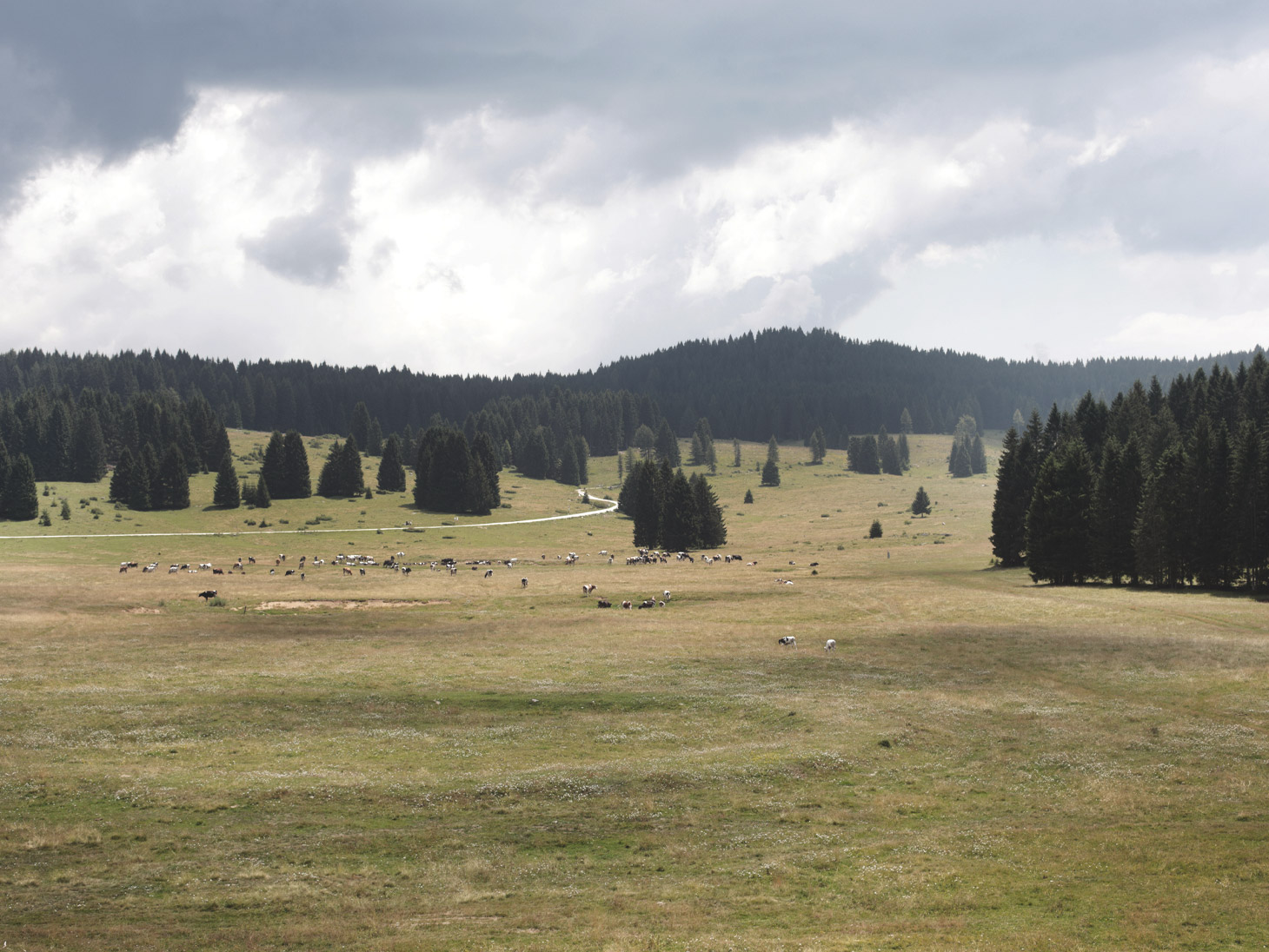 agro-paesaggio