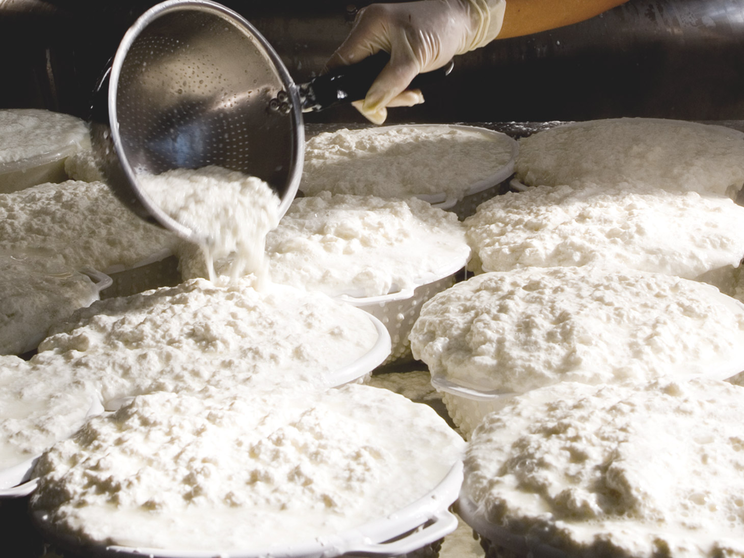 Ricotta processing