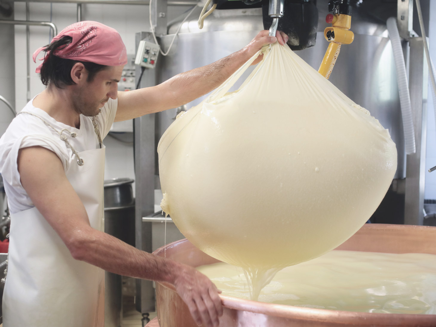 Milk processing - Vezzena di Lavarone